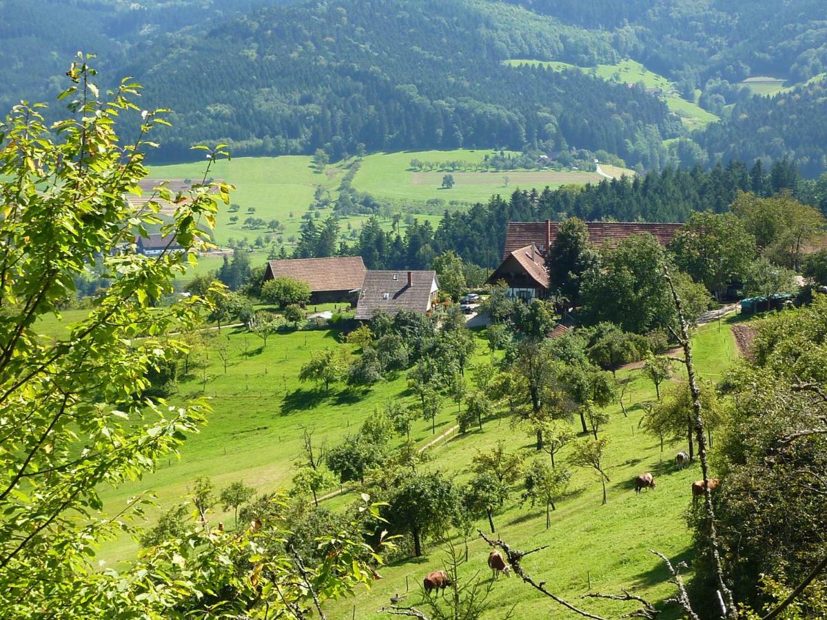 Ferienhaus Eck Villa Zell am Harmersbach Exterior photo